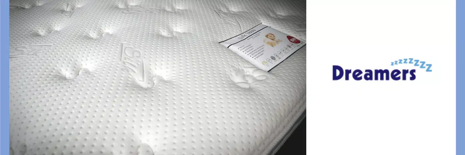 example of mattress that helps to prevent bed bugs