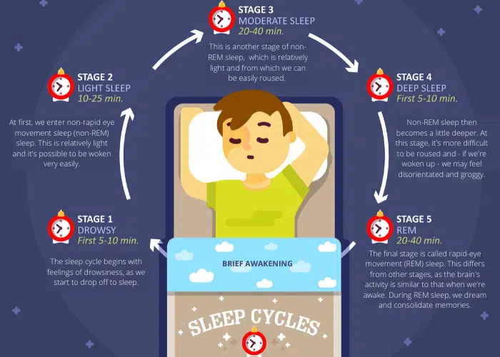 Infographic of the sleep cycle and why it's natural to wake up at night
