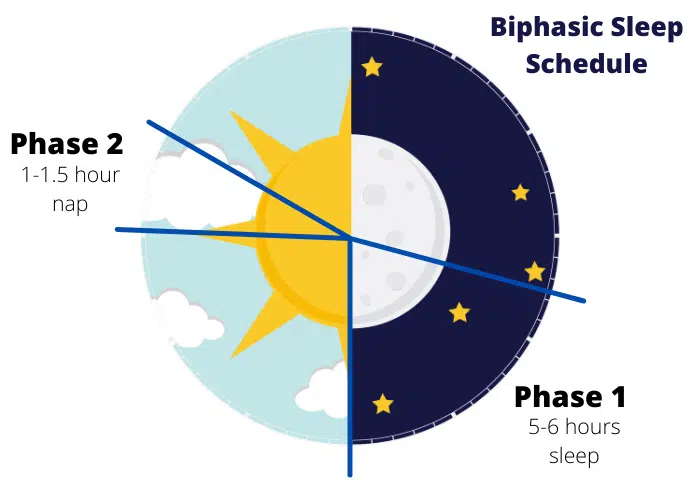 Diagram to explain biphasic sleeping 